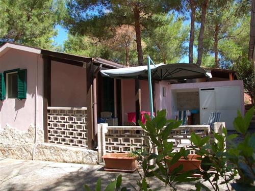 Semesterlägenhet - 4 personer -  - Vieste - 71019