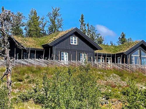 Holiday Home/Apartment - 10 persons -  - Trondstadvegen - Nesfjellet - 3540 - Nesbyen