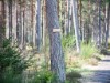 Bild 11 - Ude