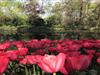 Bild 21