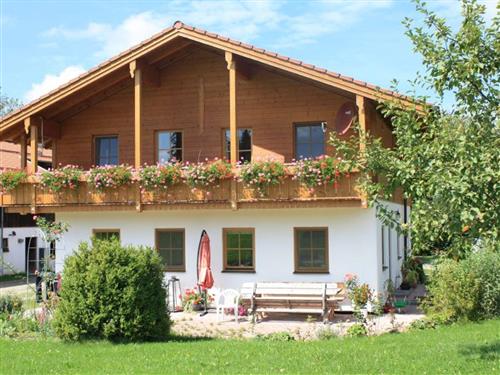 Feriehus - 5 personer -  - Dobl - 83129 - Höslwang