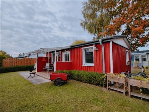 Holiday Home/Apartment - 4 persons -  - Kleiner Haffweg - 17375 - Mönkebude