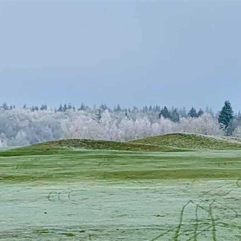 Ferielejlighed - 3 personer -  - Zum Golfplatz - 49577 - Ankum