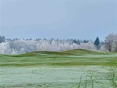 Semesterhus/Semesterlägenhet - 3 personer -  - Zum Golfplatz - 49577 - Ankum