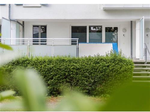 Ferieleilighet - 3 personer -  - Seestraße - 18374 - Zingst / Ostseebad Zingst