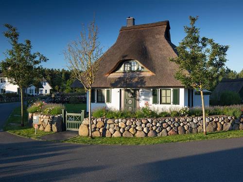 Sommerhus - 4 personer -  - Am Schwanenschlage - 18356 - Fuhlendorf