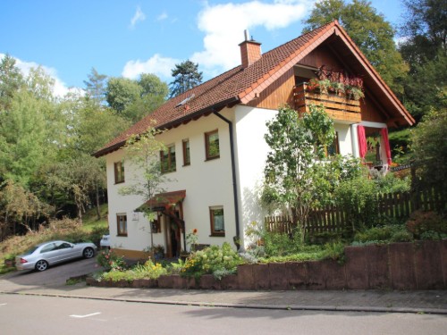 Ferielejlighed - 4 personer -  - Sportplatzstr. - 76857 - Rinnthal