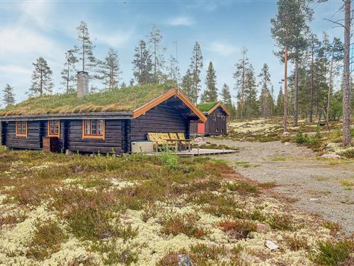 Sommerhus - 6 personer -  - Nøklåkjølen - Rendalen/Sølen - 2485 - Rendalen