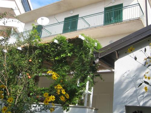 Holiday apartment - 6 persons -  - Tina Ujevica - 21327 - Podgora