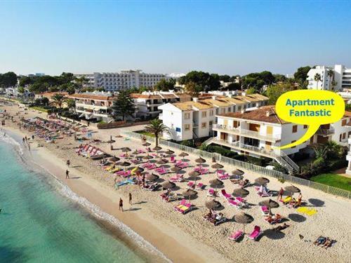 Feriehus / leilighet - 6 personer -  - 07400 - Alcudia