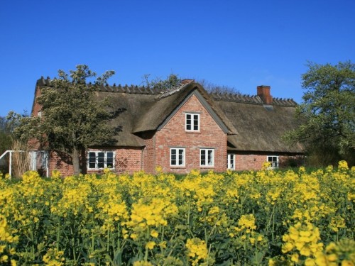 Ferienhaus - 6 Personen -  - 24395 - Stenderup Bei Gelting