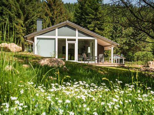 Feriehus - 4 personer -  - Altensteiner Straße - 99842 - Ruhla