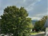 Bilde 3