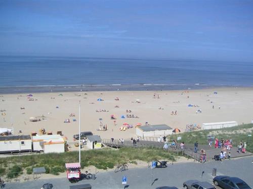 Feriehus / leilighet - 4 personer -  - 1931 CJ - Egmond Aan Zee