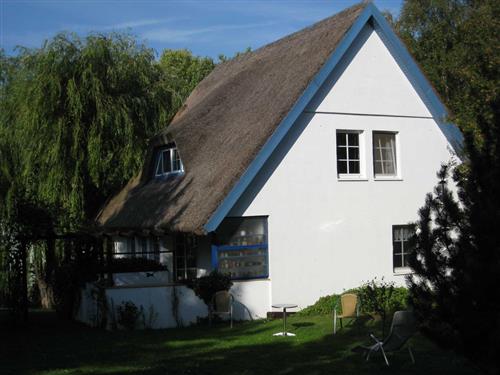 Ferienhaus - 2 Personen -  - Am Reedsal - 18565 - Hiddensee / Kloster