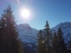 Bild 25