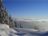 Billede 26
