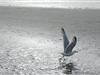 Bilde 23