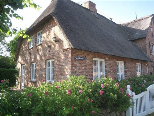 Ferieleilighet - 4 personer -  - Ohl Dörp - 25938 - Wrixum Auf Föhr