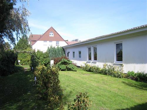 Ferielejlighed - 2 personer -  - Süderende - 18565 - Vitte/Insel Hiddensee