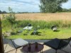 Bild 14