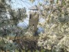 Image 24