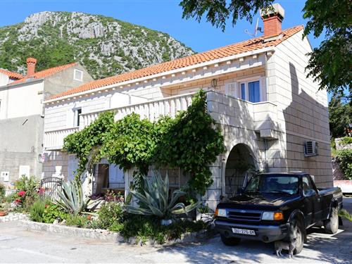 Feriehus / leilighet - 2 personer -  - Trstenik - 20245 - Trstenik