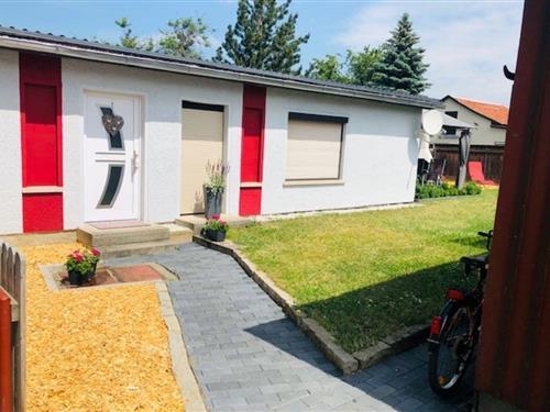 Sommerhus - 4 personer -  - Wernigeröder Straße - 38871 - Ilsenburg (Harz)