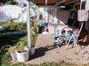 Bild 16