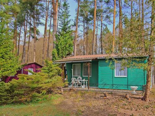 Feriehus - 4 personer -  - Seestraße - Rheinsberg Ot Warenthin - 16831 - Rheinsberg Ot Warenthi