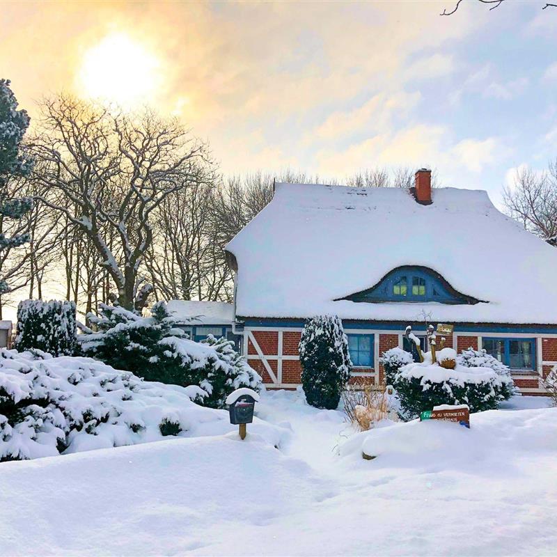 Ferielejlighed - 9 personer -  - Suhrendorf - 18569 - Ummanz