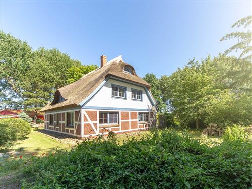 Ferienwohnung - 9 Personen -  - Suhrendorf - 18569 - Ummanz