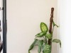 Bilde 22 - Inne