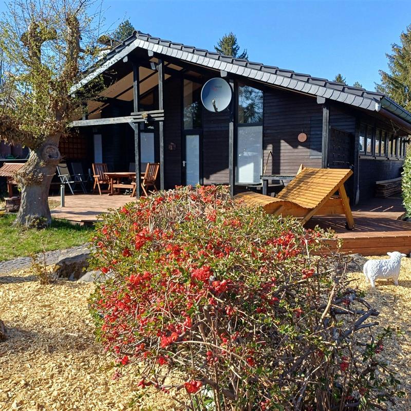 Sommerhus - 6 personer -  - Allendorf - 35108