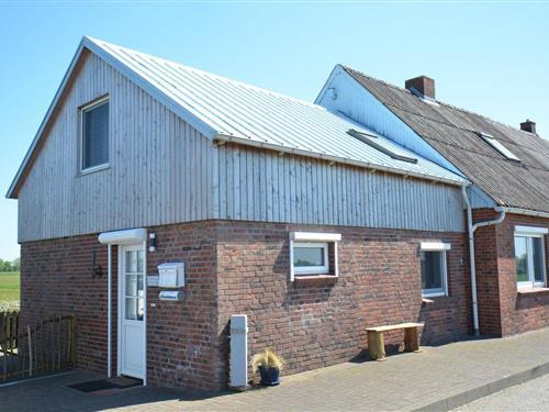 Ferienhaus - 6 Personen -  - Hamburger Deich - 25845 - Nordstrand - Nordsee