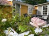 Bilde 6 - Ude