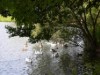 Bild 19