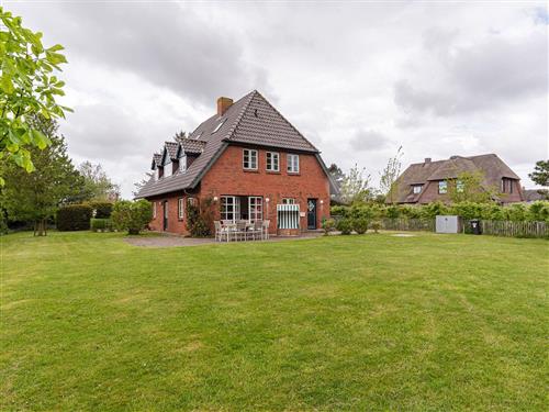 Feriehus - 6 personer -  - Triibergem - 25938 - Utersum