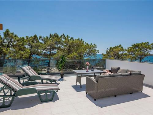 Feriehus - 8 personer -  - Stari put - 23234 - Vir