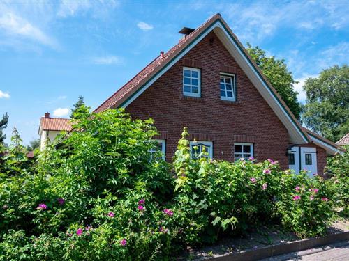 Semesterhus/Semesterlägenhet - 5 personer -  - Pappelweg - 24217 - Schönberger Strand