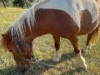Bild 18