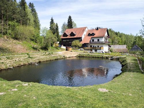 Ferienhaus - 10 Personen -  - 92539 - Schönsee