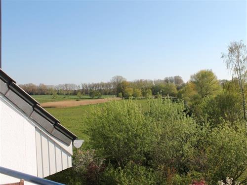 Ferielejlighed - 3 personer -  - Ostseeallee - 23946 - Boltenhagen