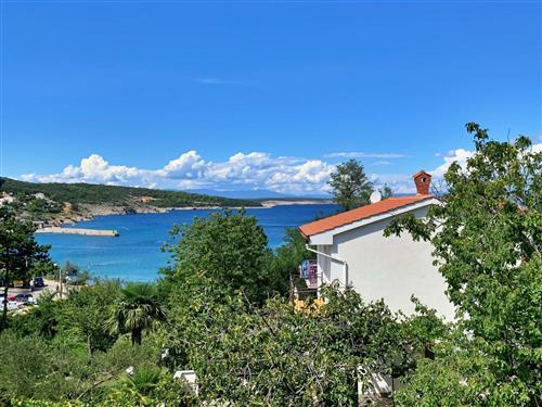 Holiday apartment - 4 persons -  - Krk/Šilo - 51515