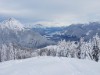 Bild 61