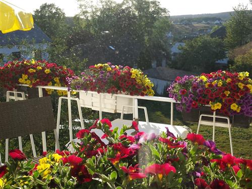 Ferieleilighet - 5 personer -  - Kapellenstraße - 54427 - Kell Am See