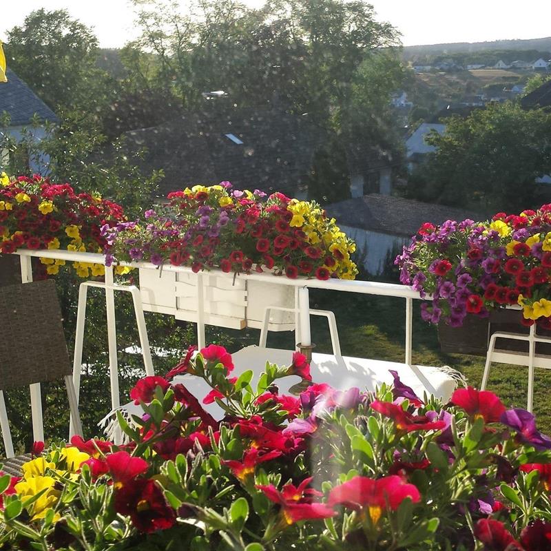 Ferielejlighed - 5 personer -  - Kapellenstraße - 54427 - Kell Am See