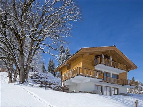 Ferienhaus - 8 Personen -  - Bachwinkl - 5761 - Maria Alm Am Steinernen M