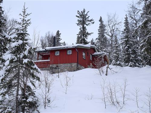 Sommerhus - 10 personer -  - Tempelseterveien - Tempelseter/Eggedal - 3359 - Eggedal