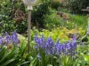 Image 15